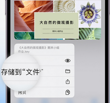 邵武apple维修中心分享iPhone文件应用中存储和找到下载文件