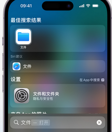 邵武apple维修中心分享iPhone文件应用中存储和找到下载文件