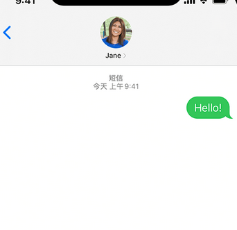 邵武apple维修iPhone上无法正常发送iMessage信息