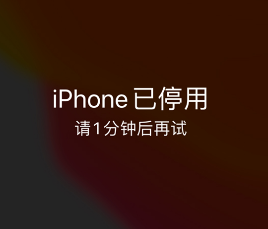 邵武苹果手机维修分享:iPhone 显示“不可用”或“已停用”怎么办？还能保留数据吗？ 