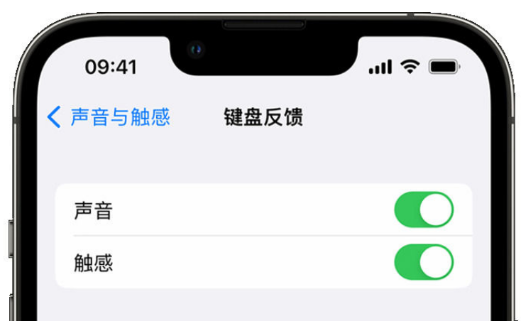 邵武苹果手机维修分享iPhone 14触感键盘使用方法 