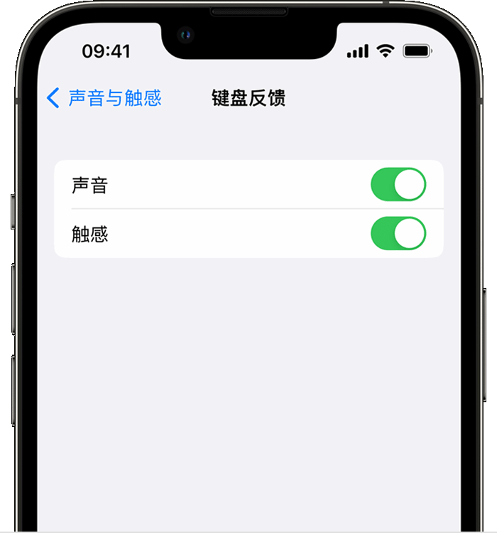 邵武苹果14维修店分享如何在 iPhone 14 机型中使用触感键盘 