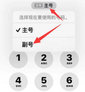 邵武苹果14维修店分享iPhone 14 Pro Max使用副卡打电话的方法 