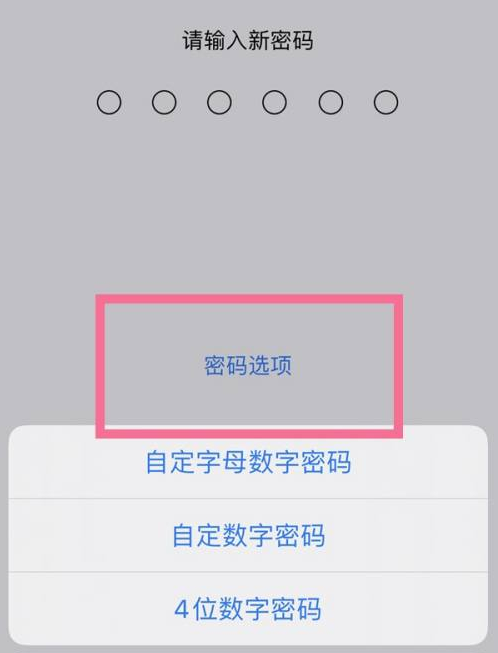 邵武苹果14维修分享iPhone 14plus设置密码的方法 