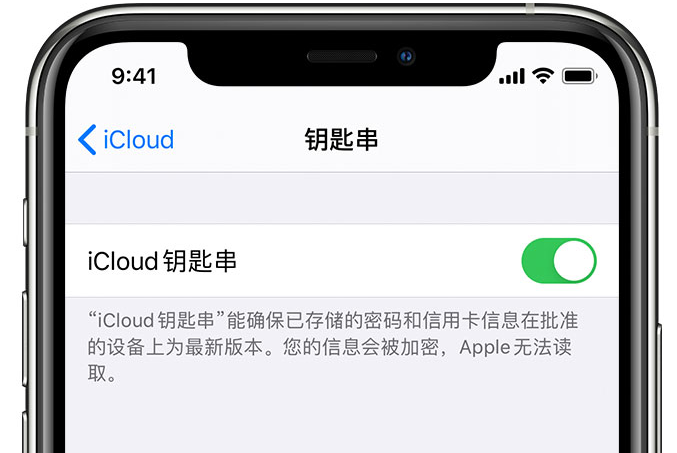 邵武苹果手机维修分享在 iPhone 上开启 iCloud 钥匙串之后会储存哪些信息 