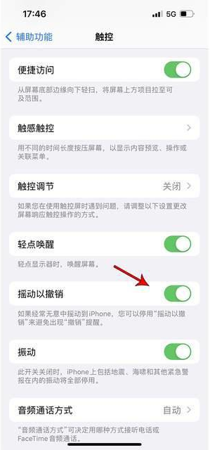 邵武苹果手机维修分享iPhone手机如何设置摇一摇删除文字 