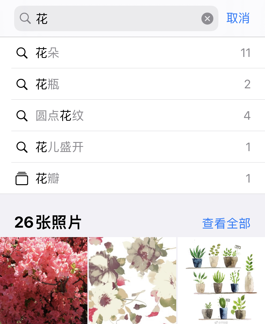 邵武苹果手机维修分享iPhone 小技巧 