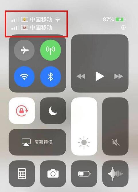 邵武苹果手机维修分享为 iPhone 12 双卡设置标签 
