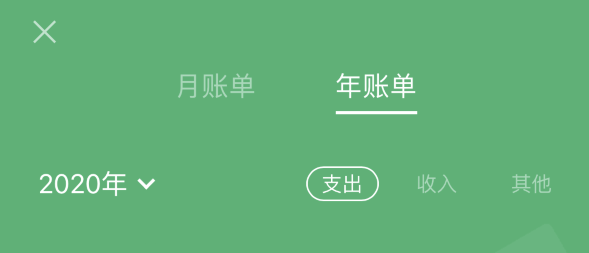 邵武苹果手机维修分享如何在 iPhone 上查看支付宝和微信年支出账单 