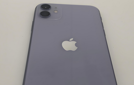邵武苹果11系统维修分享iPhone11手机系统崩溃无法开机如何解决 
